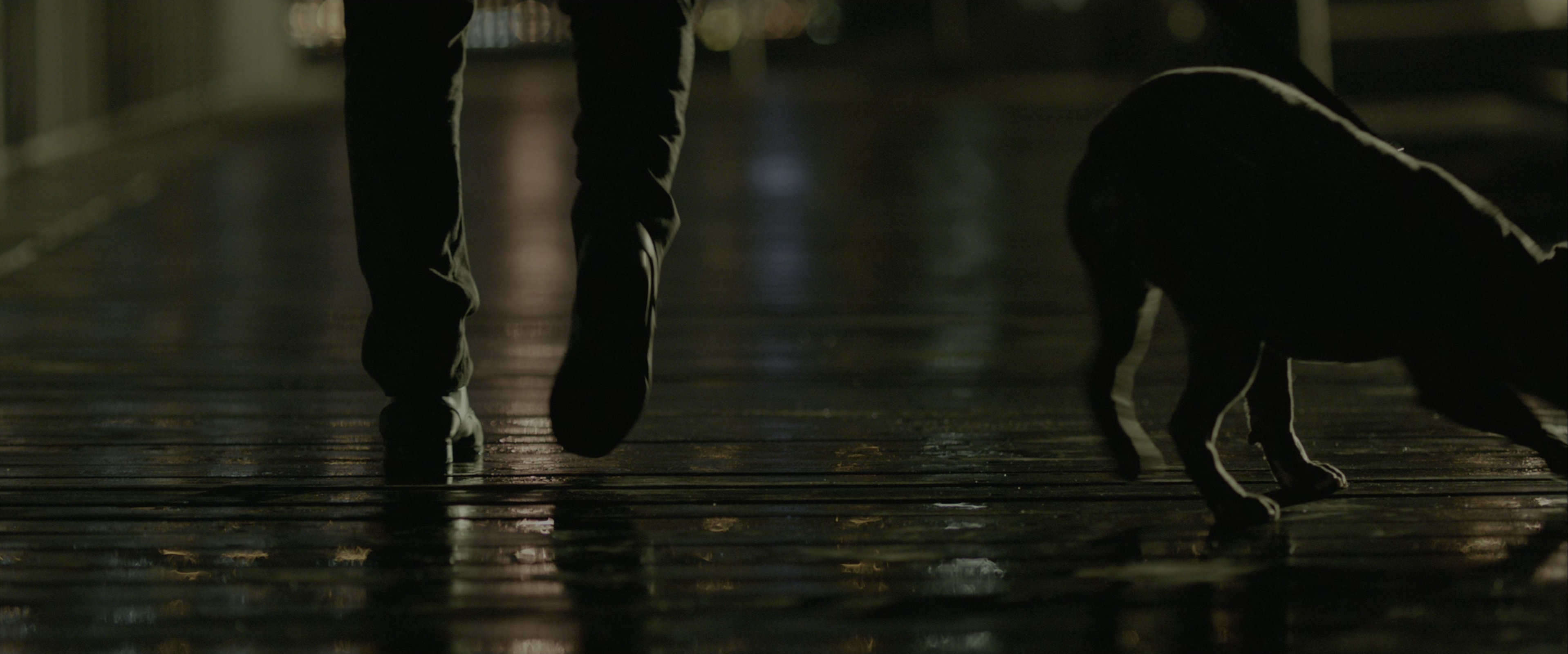 John Wick (2014), wide, 2.40:1 — film still