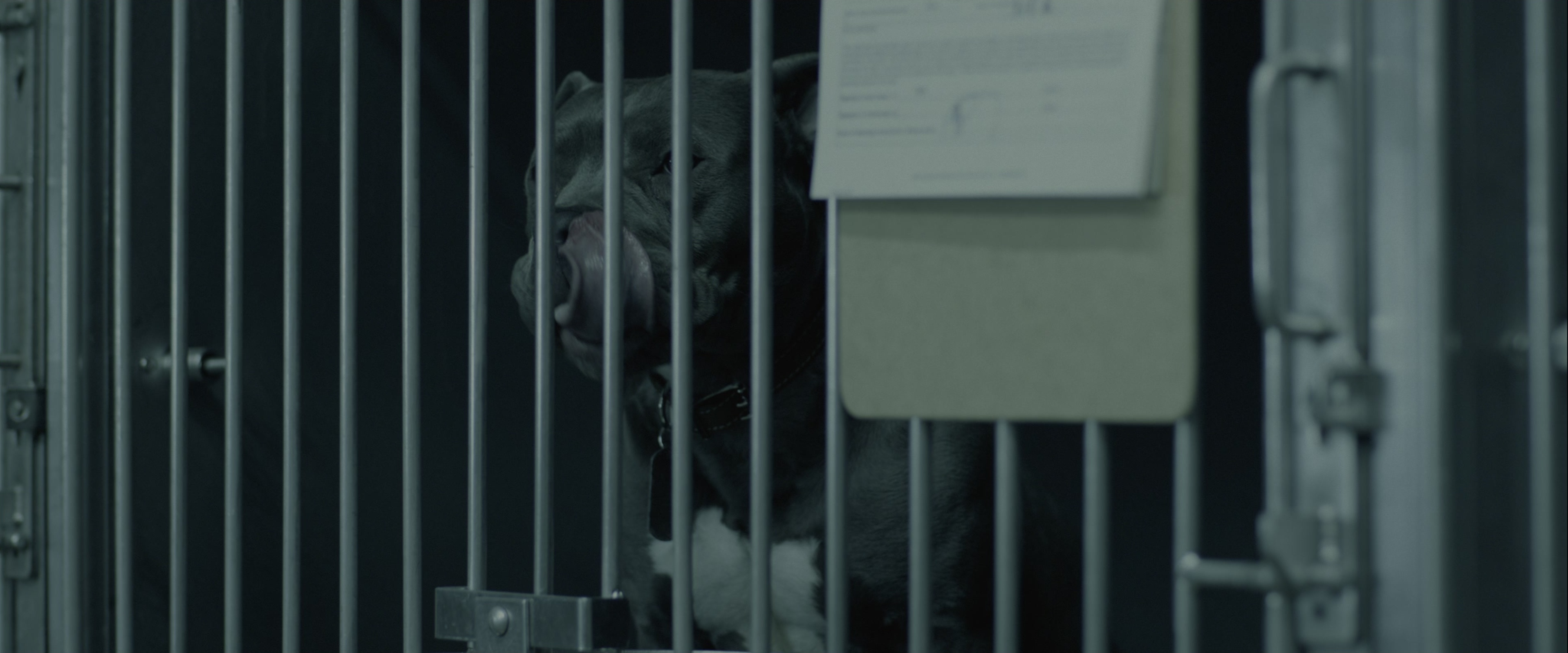 John Wick (2014), wide, 2.40:1 — film still
