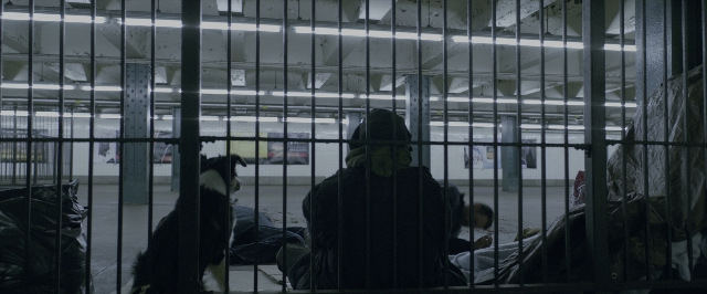 Wide shot frame from John Wick: Chapter Two — sitting, dog, person