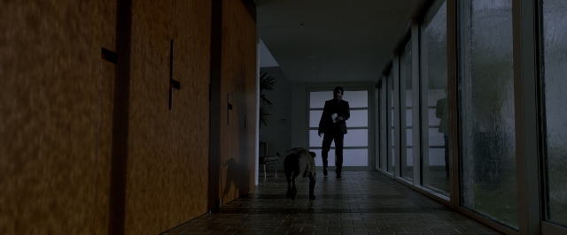 Wide shot frame from John Wick: Chapter Two — walking, door, dog