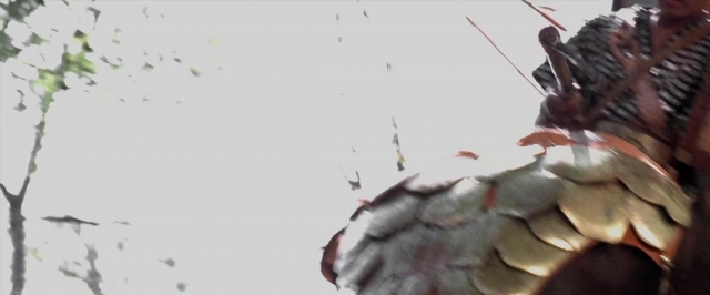 Wide shot frame from Alexander — water, bird