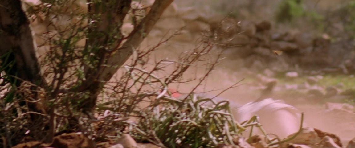 Alexander (2004), wide, 2.40:1 — film still