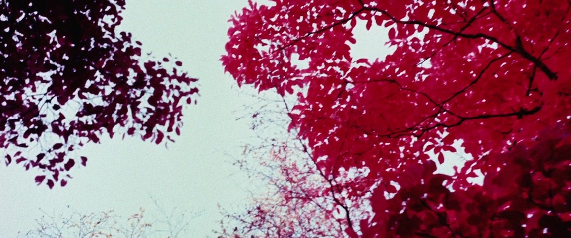 Alexander (2004), wide, 2.40:1 — film still