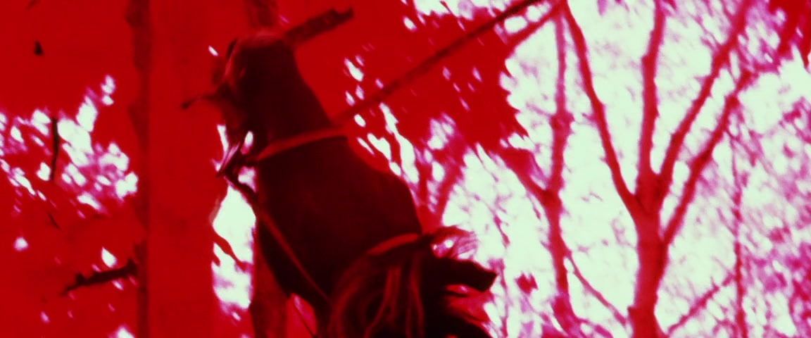Alexander (2004), wide, 2.40:1 — film still