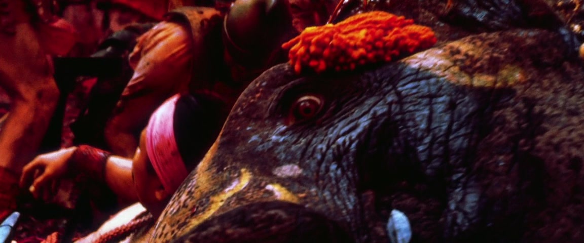 Alexander (2004), wide, 2.40:1 — film still
