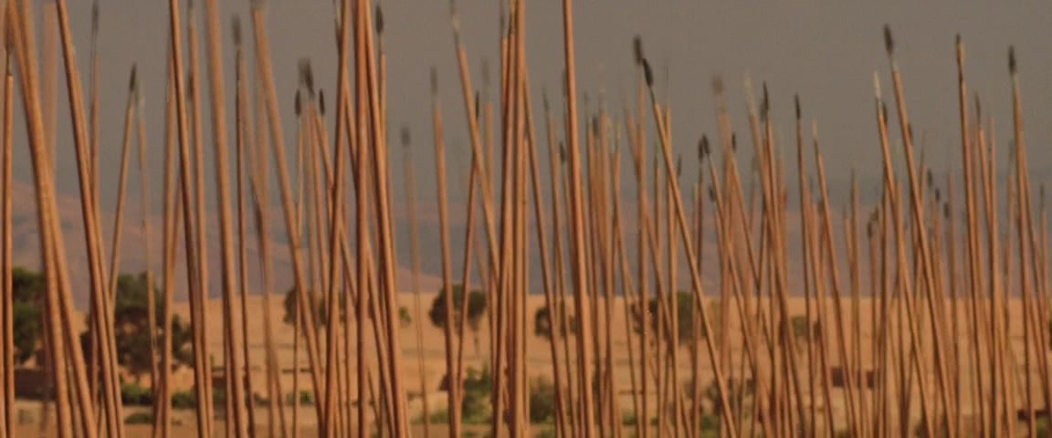 Alexander (2004), unknown, 2.40:1 — film still