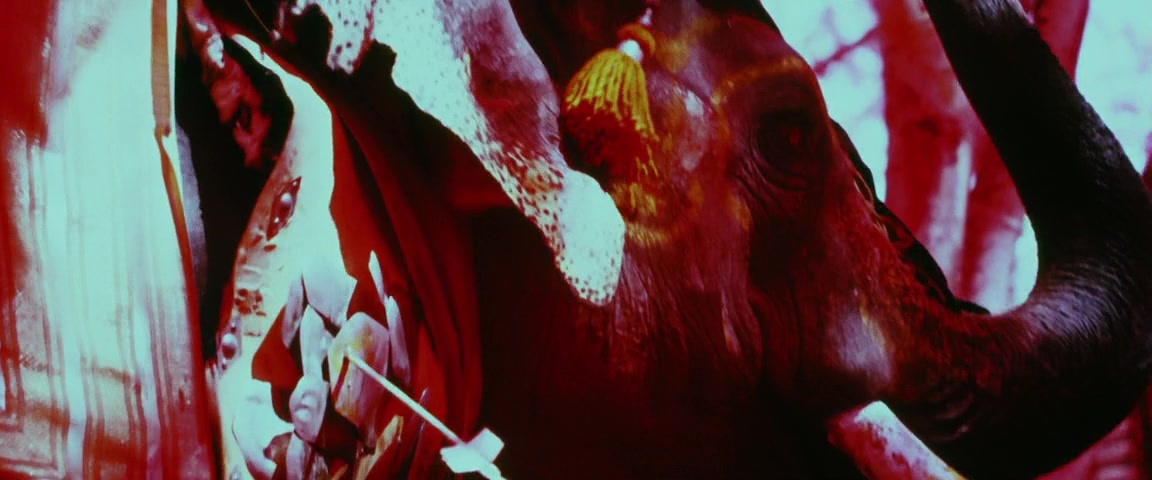 Alexander (2004), unknown, 2.40:1 — film still