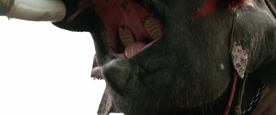 Alexander (2004), wide, 2.40:1 — film still