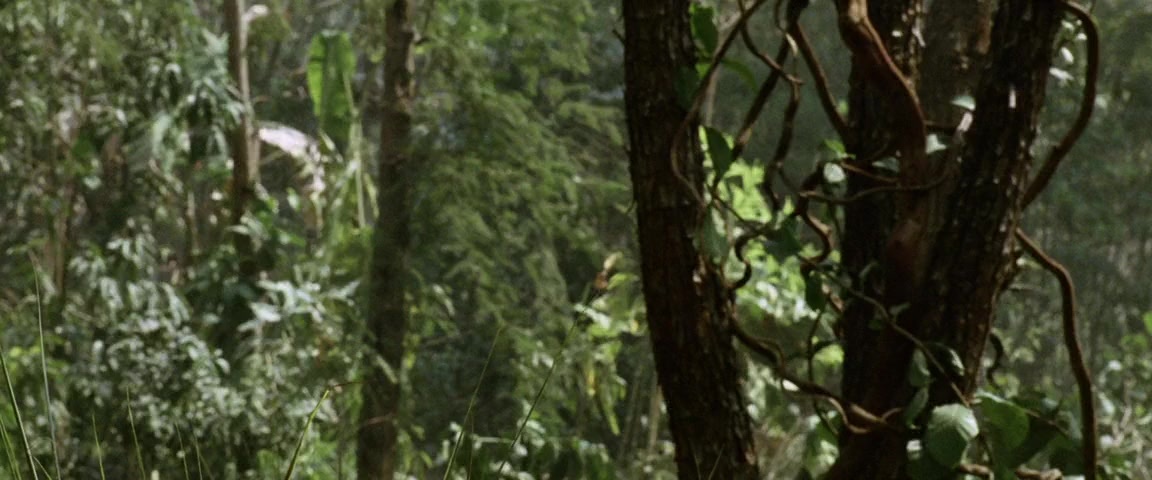 Alexander (2004), wide, 2.40:1 — film still