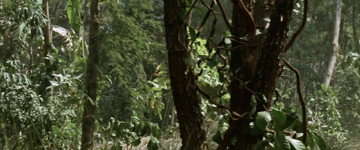 Alexander (2004), wide, 2.40:1 — film still