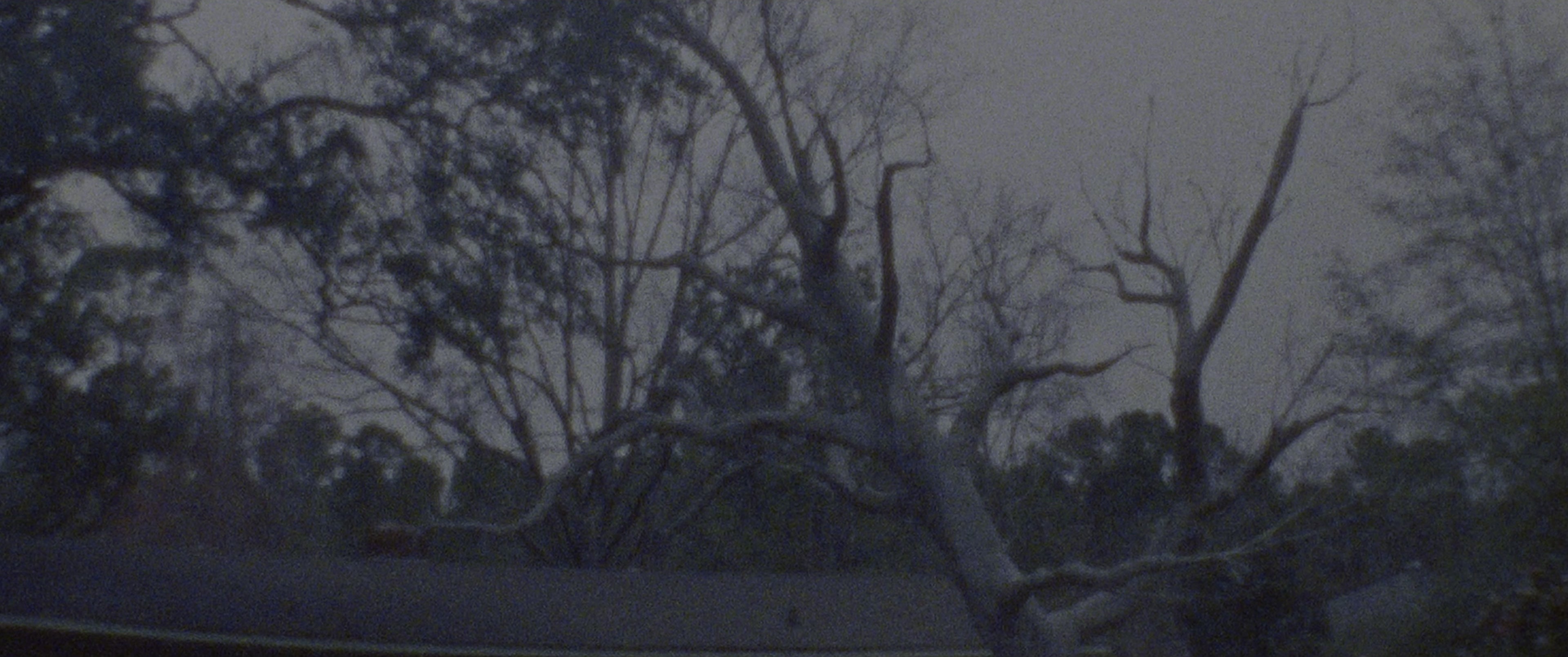 The Black Phone (2021), wide, 2.39:1 — film still
