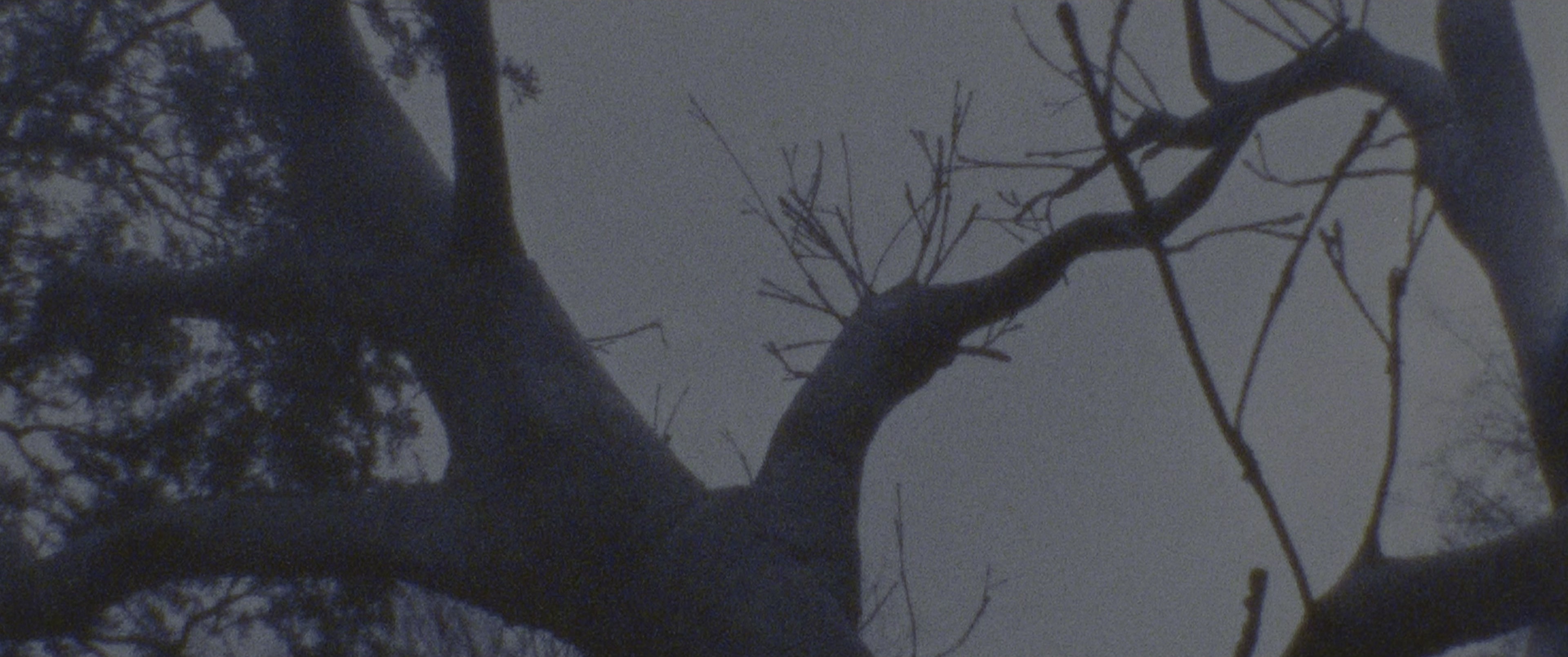 The Black Phone (2021), wide, 2.39:1 — film still