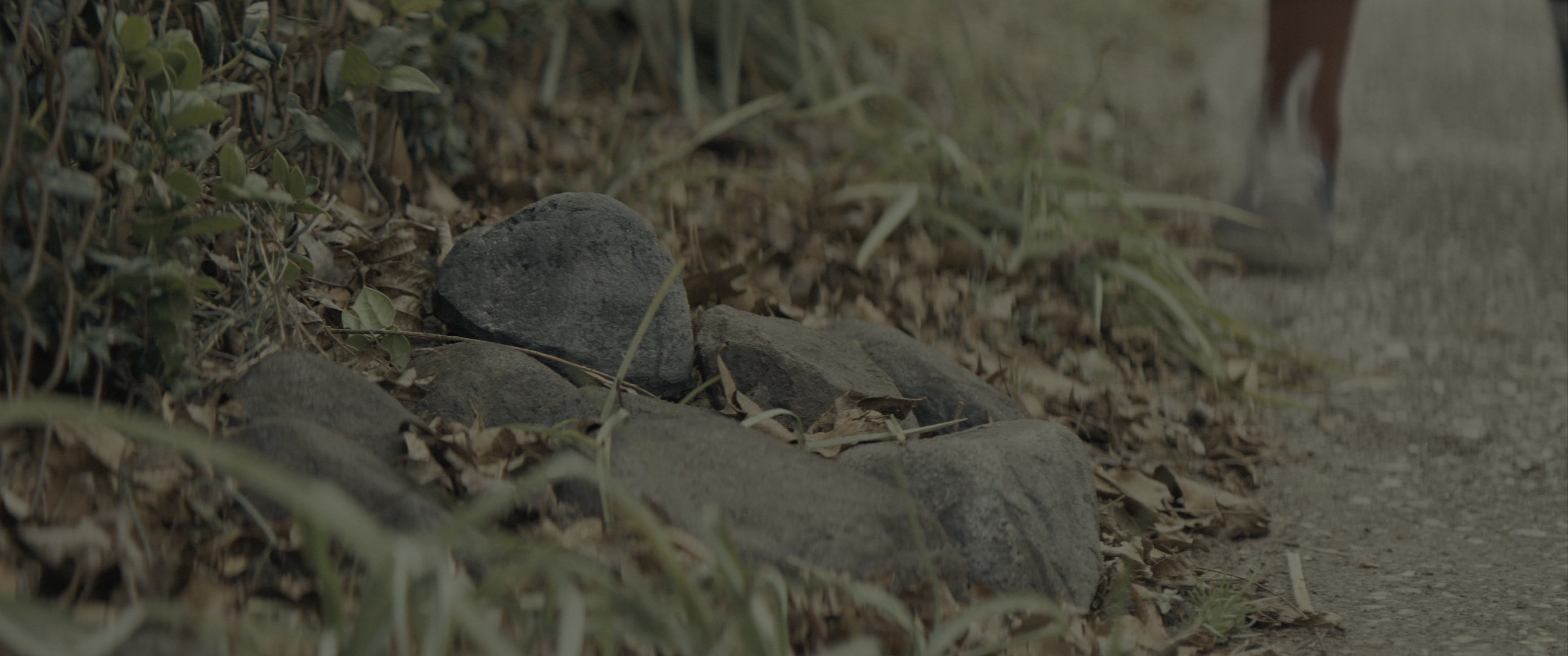 The Black Phone (2021), wide, 2.39:1 — film still