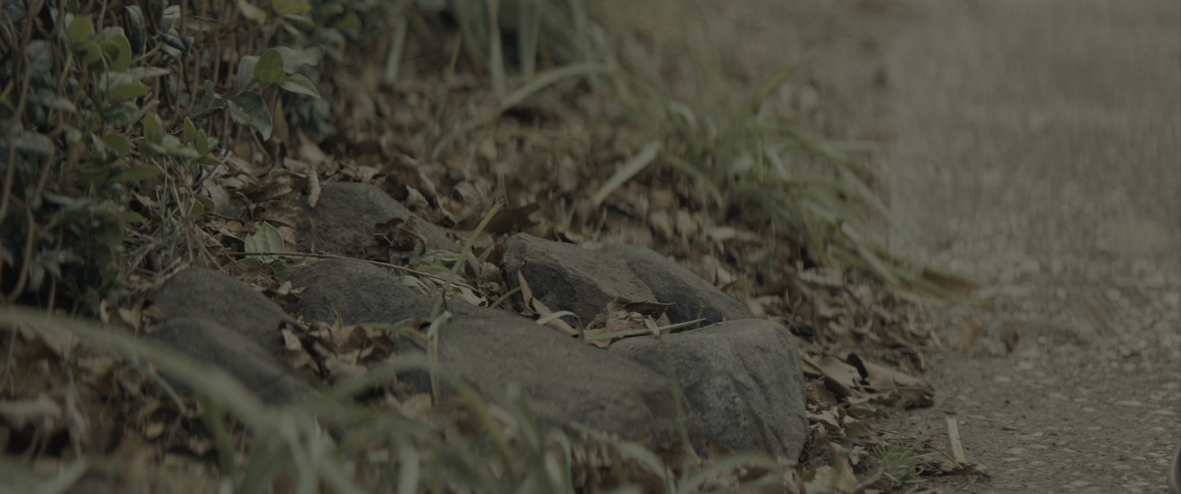 The Black Phone (2021), wide, 2.39:1 — film still