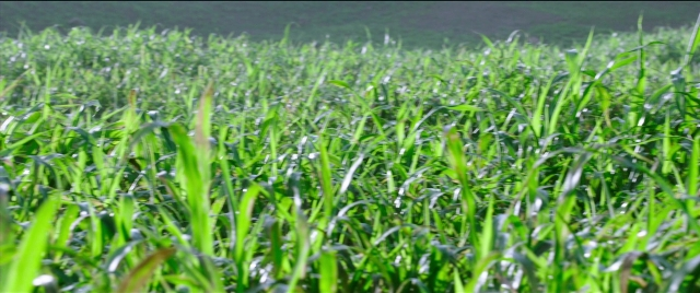 Bãhubali 2: The Conclusion — film still