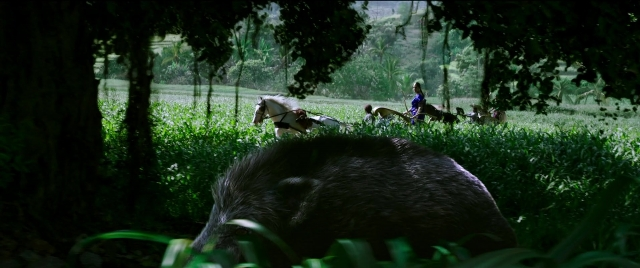 Wide shot frame from Bãhubali 2: The Conclusion — walking, animal, bird