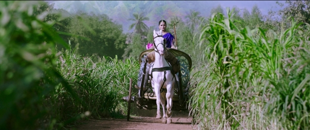 Wide shot frame from Bãhubali 2: The Conclusion — walking, street, hat