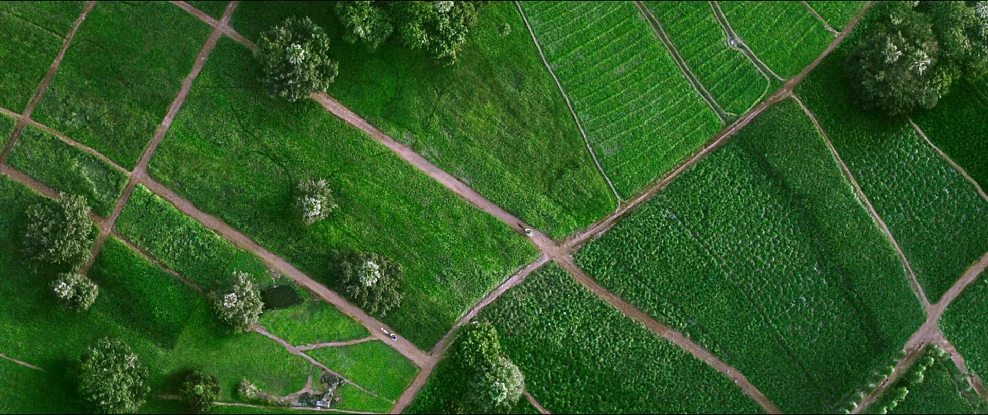 Bãhubali 2: The Conclusion (2017), unknown, 2.38:1 — film still