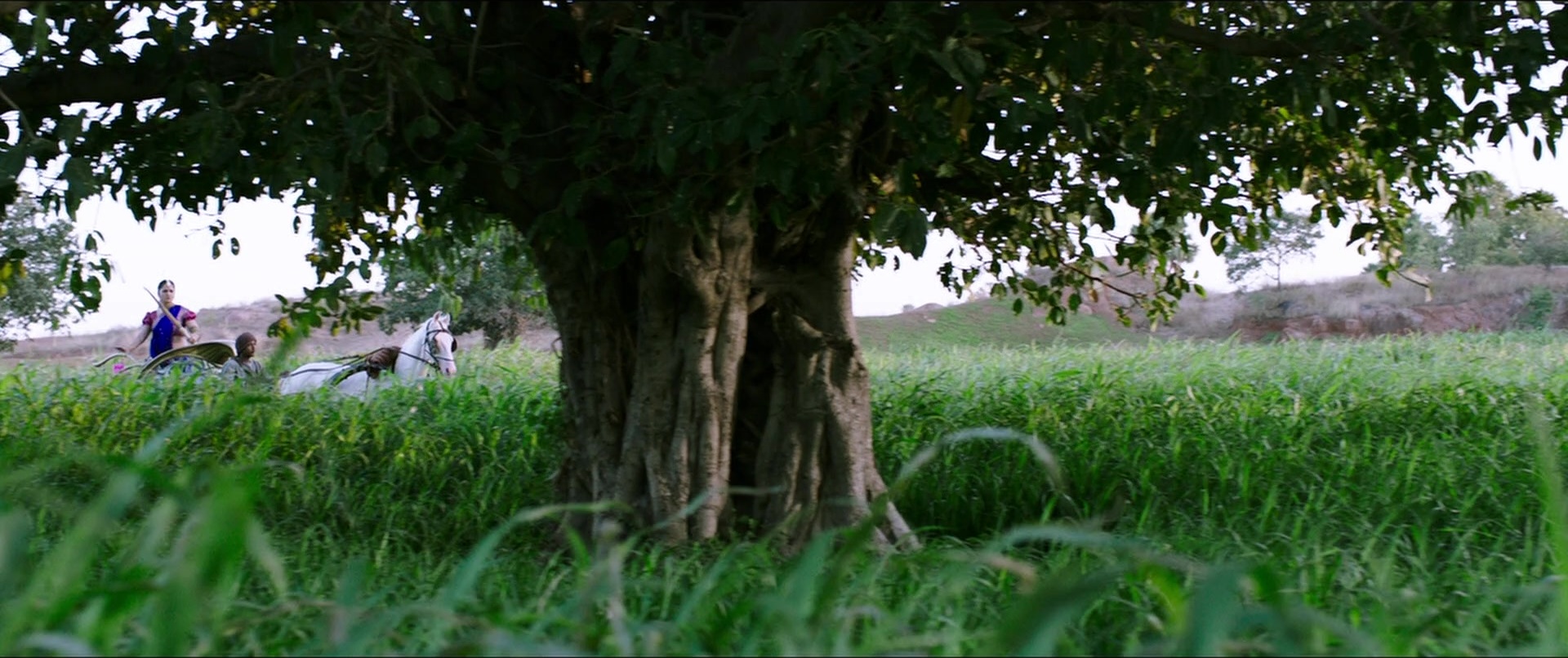 Bãhubali 2: The Conclusion (2017), wide, 2.38:1 — film still