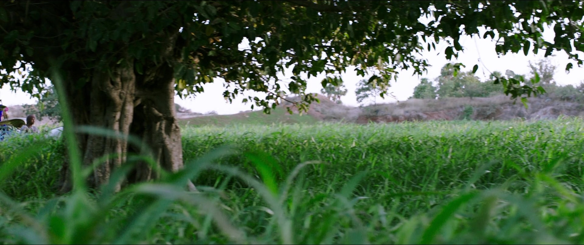 Bãhubali 2: The Conclusion (2017), wide, 2.38:1 — film still