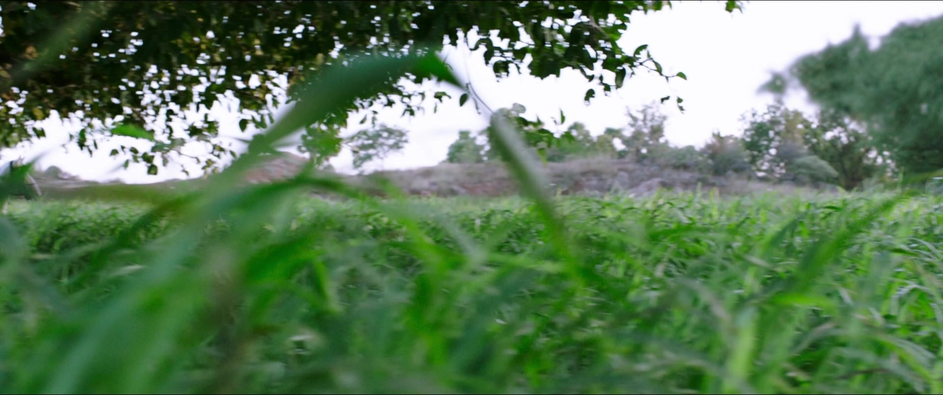 Bãhubali 2: The Conclusion (2017), wide, 2.38:1 — film still