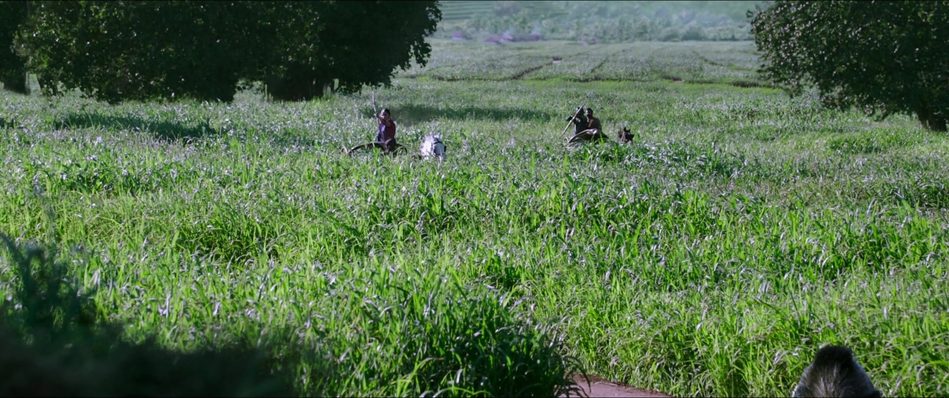 Bãhubali 2: The Conclusion (2017), unknown, 2.38:1 — film still
