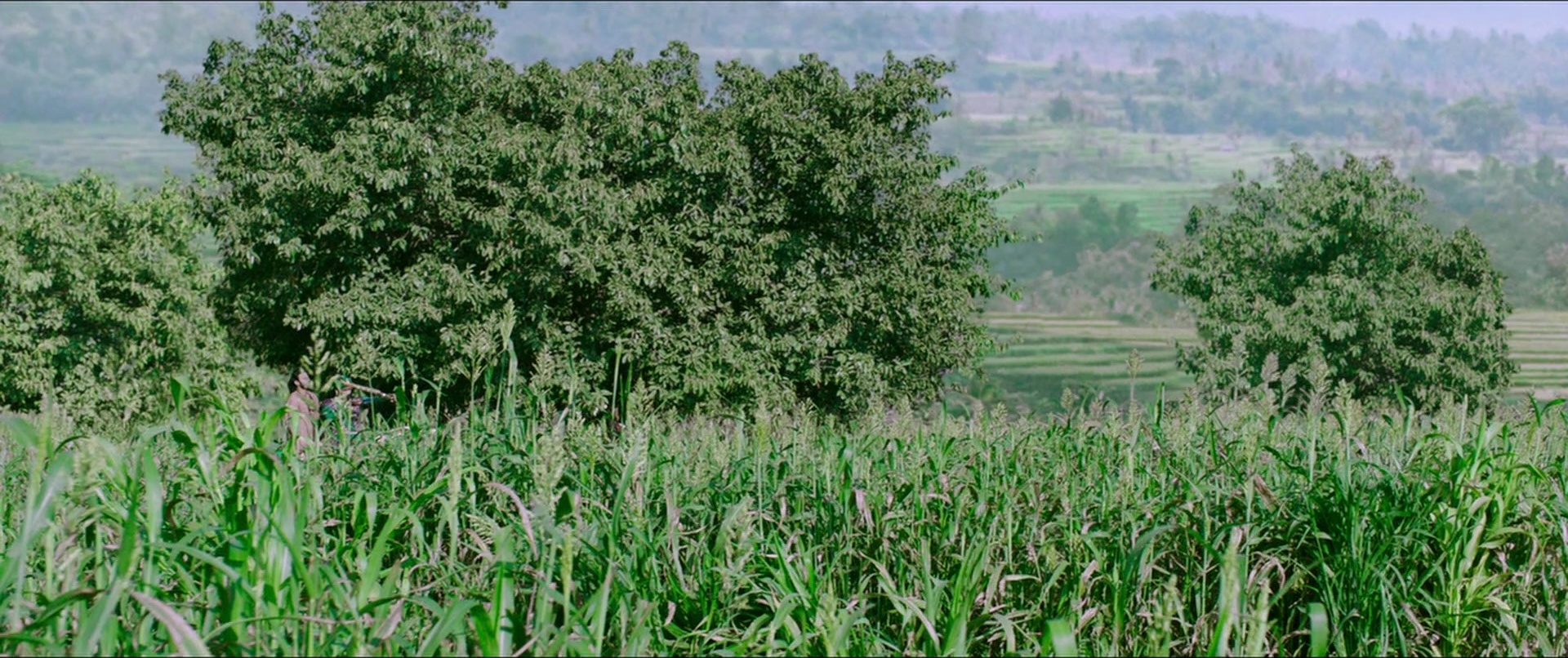 Bãhubali 2: The Conclusion (2017), wide, 2.38:1 — film still