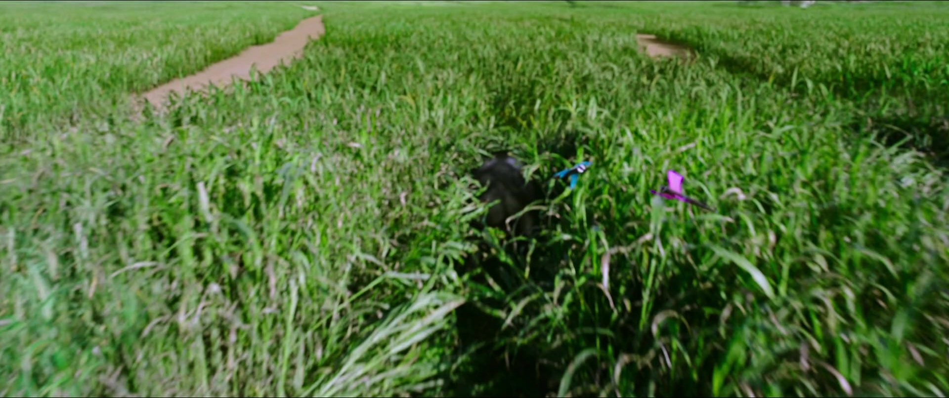 Bãhubali 2: The Conclusion (2017), wide, 2.38:1 — film still
