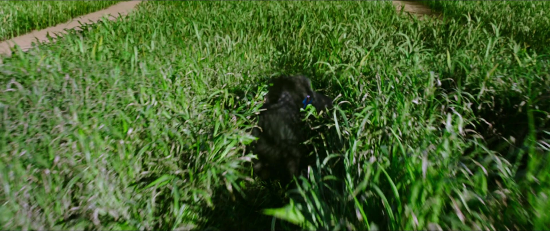 Bãhubali 2: The Conclusion (2017), wide, 2.38:1 — film still