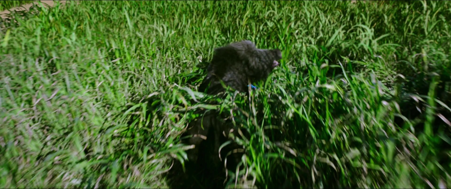Bãhubali 2: The Conclusion (2017), wide, 2.38:1 — film still
