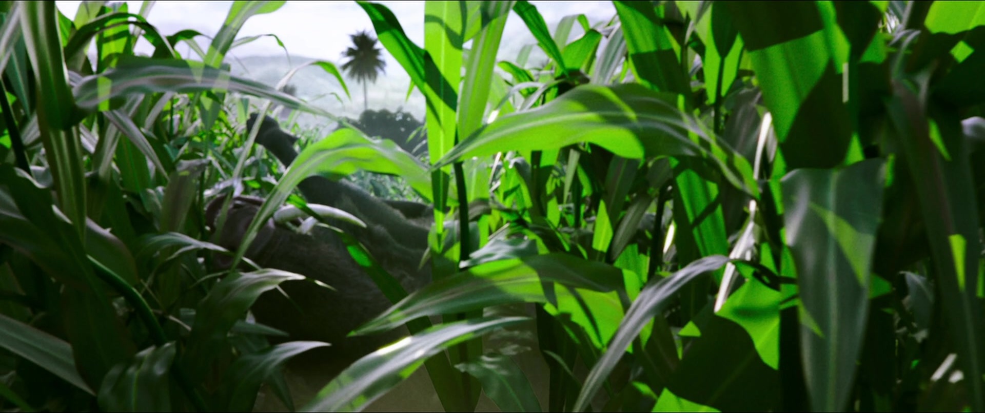 Bãhubali 2: The Conclusion (2017), unknown, 2.38:1 — film still