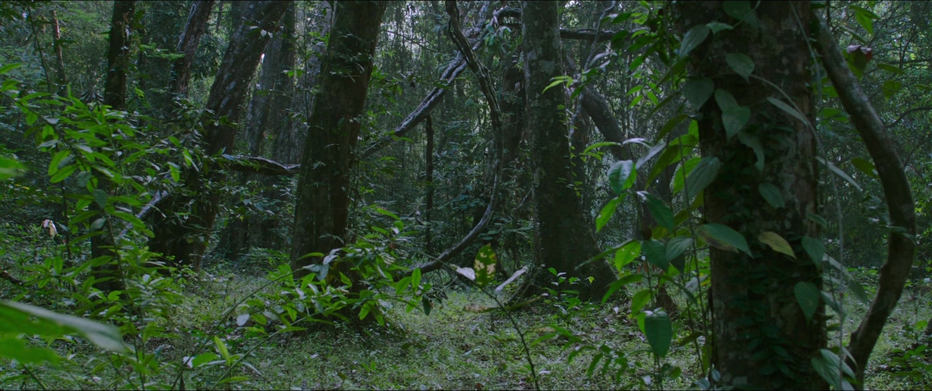Bãhubali 2: The Conclusion (2017), medium, 2.38:1 — film still