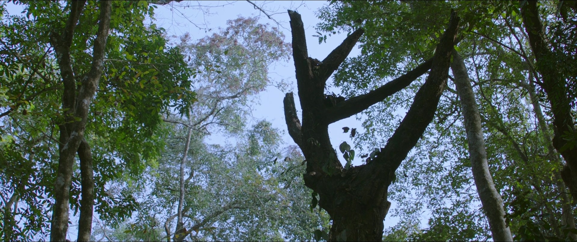 Bãhubali 2: The Conclusion (2017), wide, 2.38:1 — film still