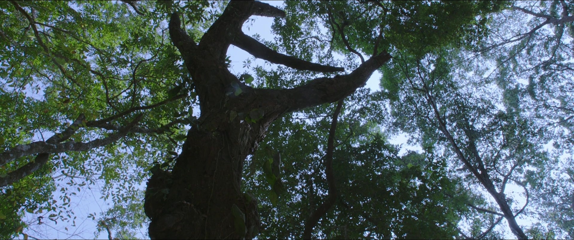 Bãhubali 2: The Conclusion (2017), wide, 2.38:1 — film still
