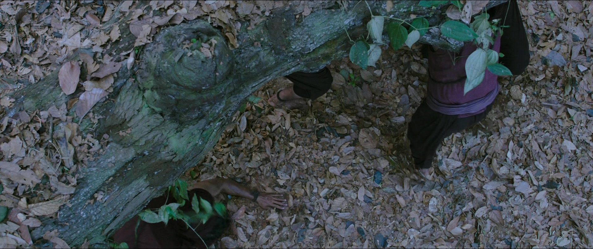 Bãhubali 2: The Conclusion (2017), wide, 2.38:1 — film still