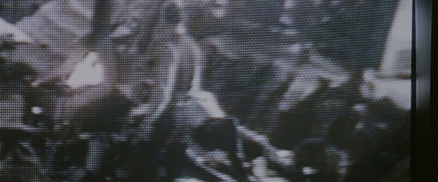 seria-1593884.jpg