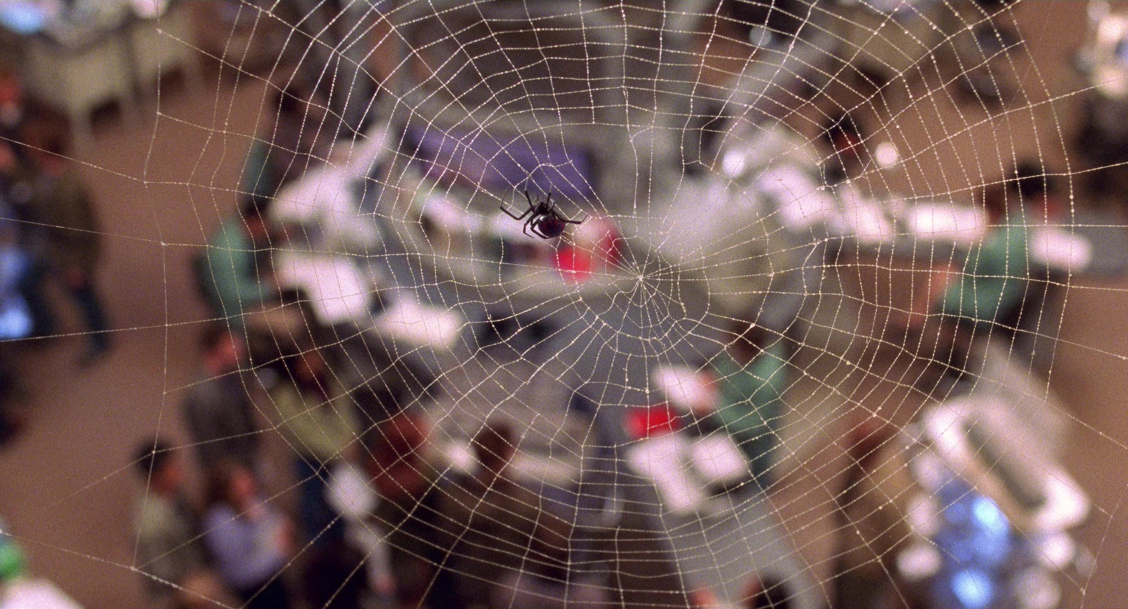 Spider-Man (2002), wide, 1.85:1 — film still