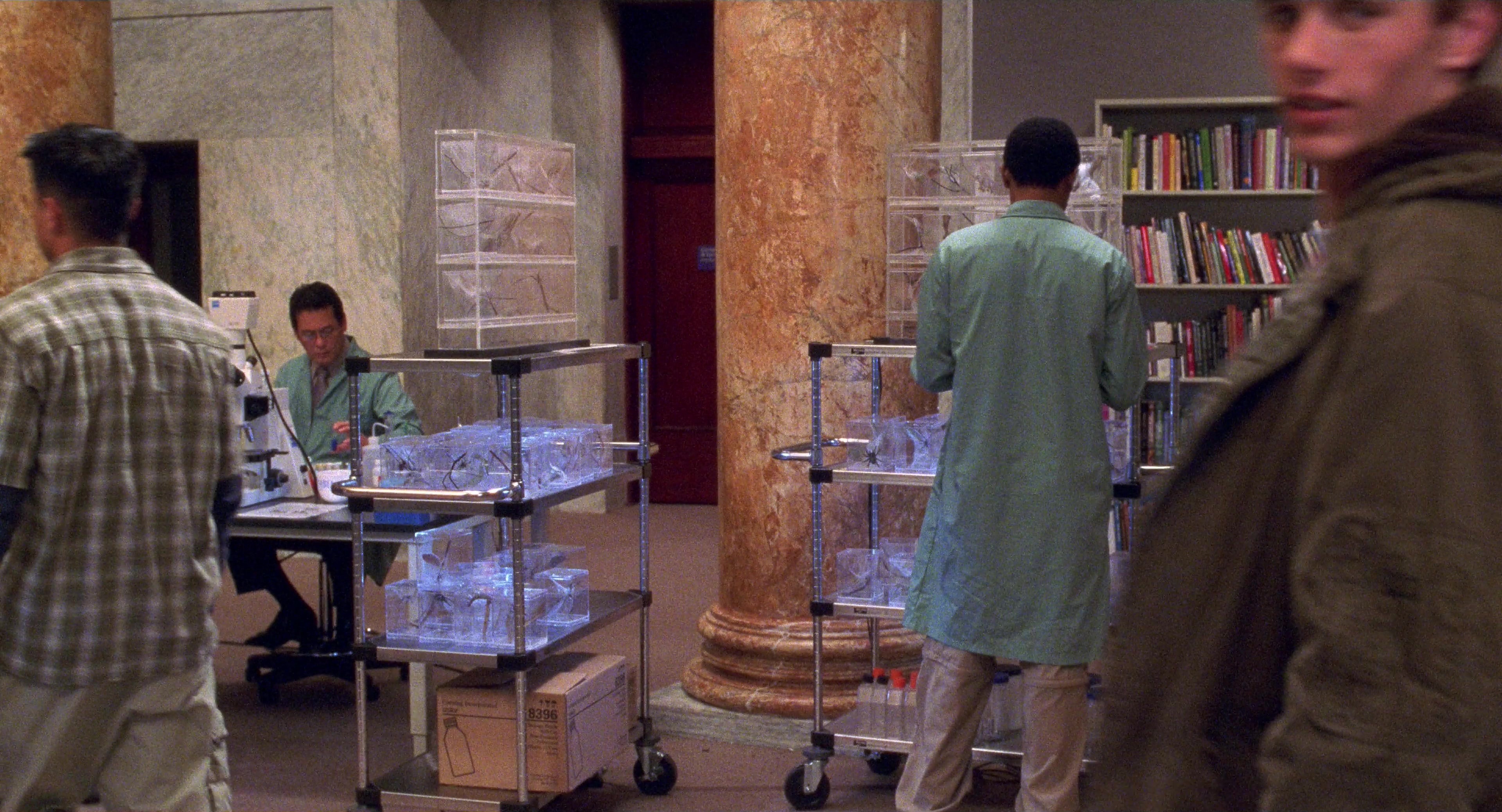 Spider-Man (2002), wide, 1.85:1 — film still
