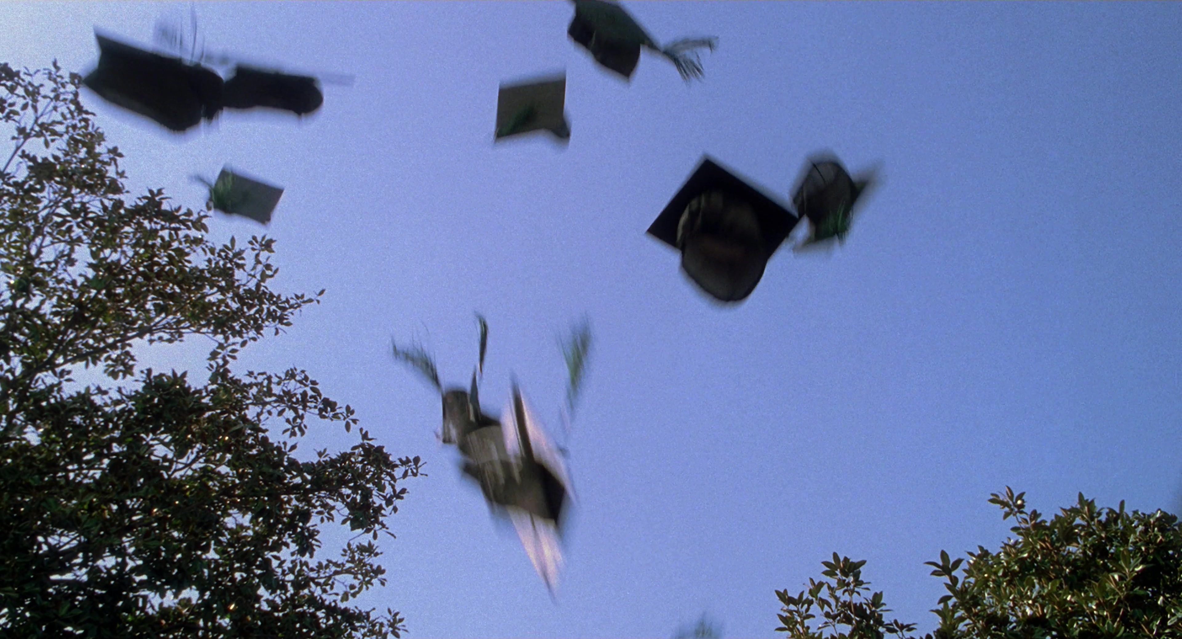Spider-Man (2002), wide, 1.85:1 — film still