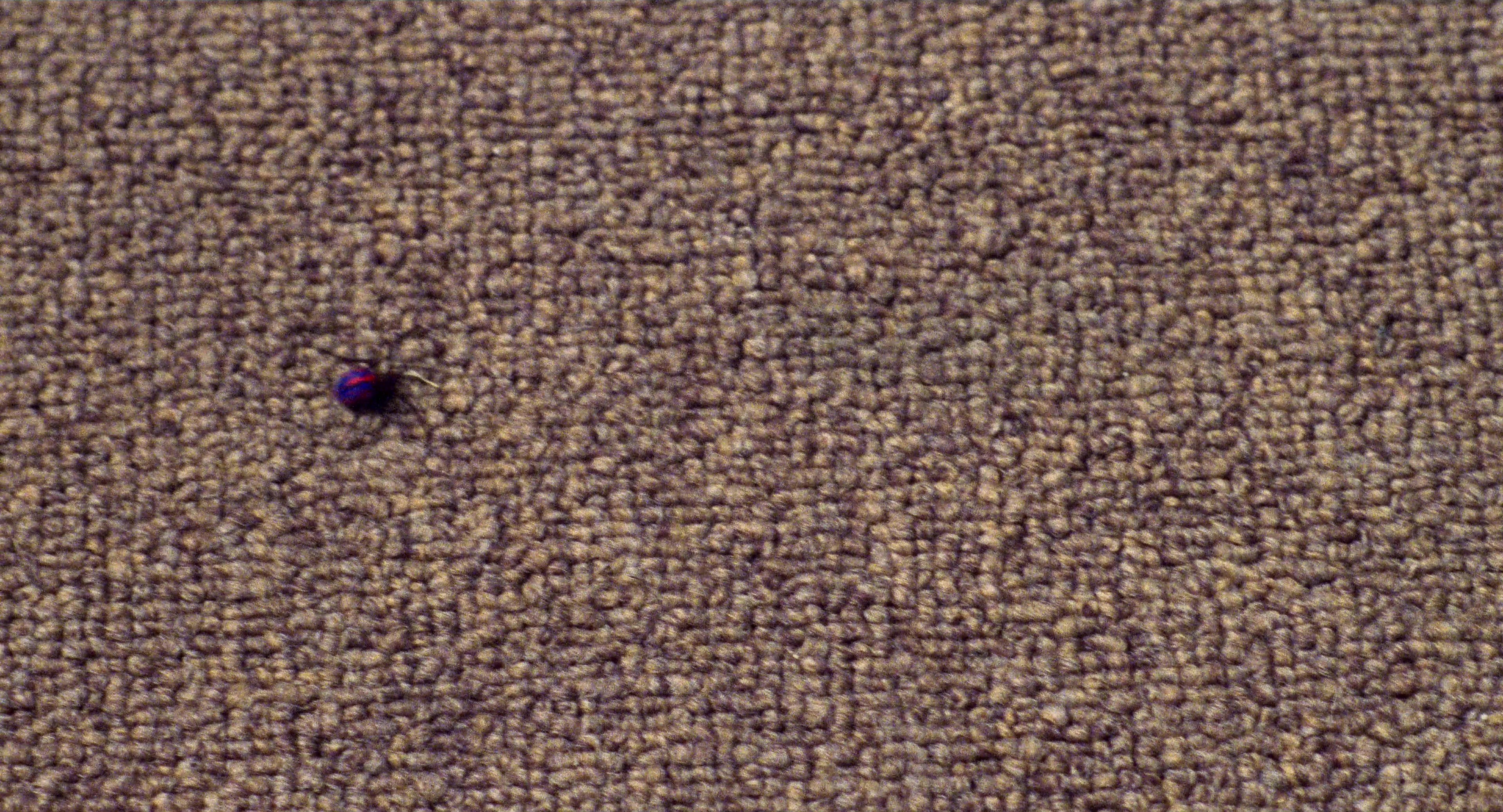 Spider-Man (2002), wide, 1.85:1 — film still