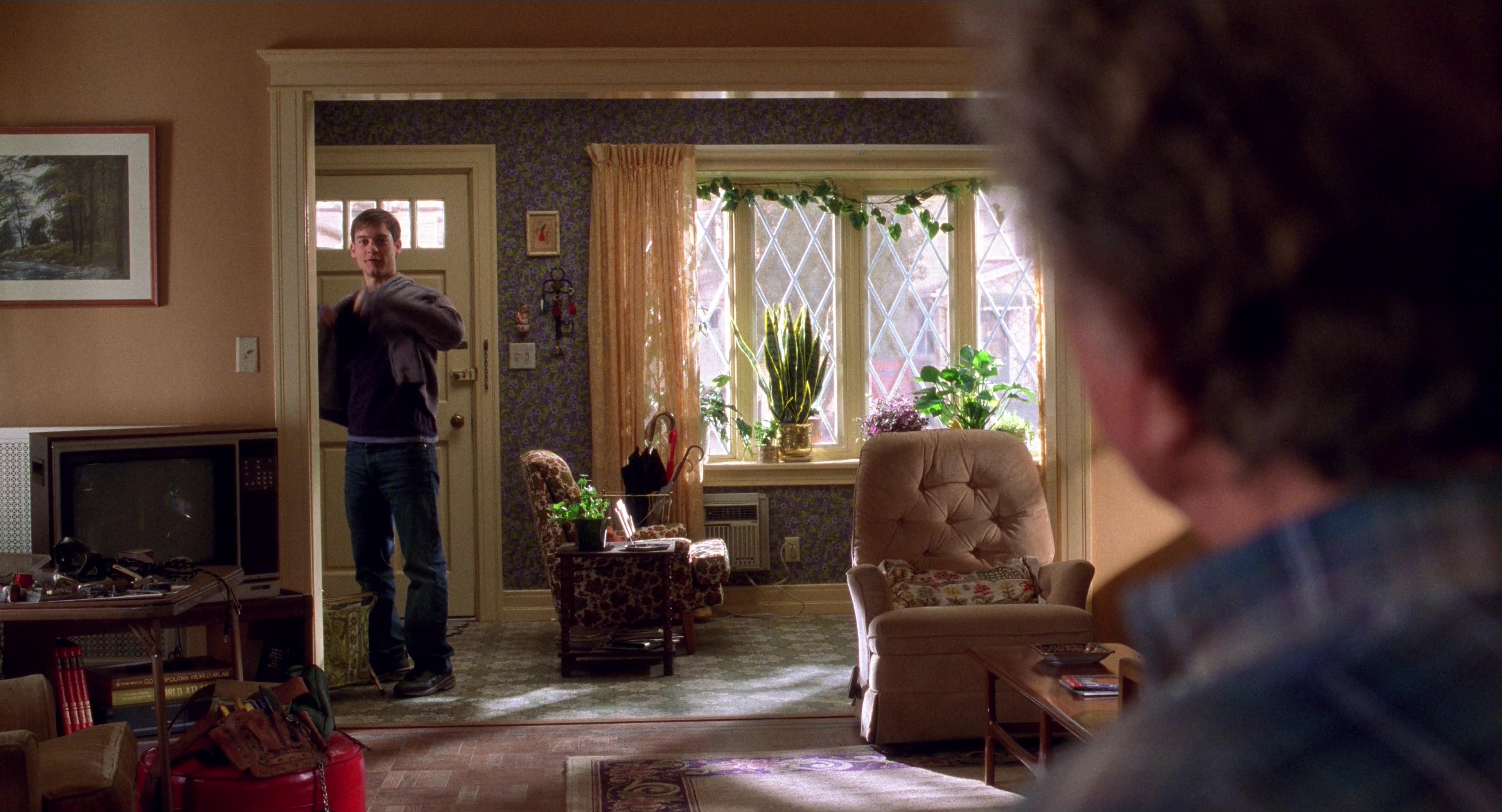 Spider-Man (2002), wide, 1.85:1 — film still