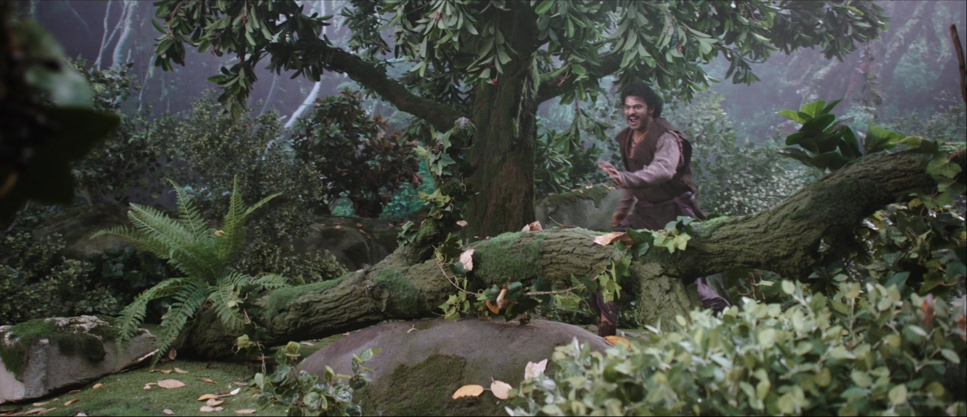 Bãhubali: The Beginning (2015), wide, 2.32:1 — film still