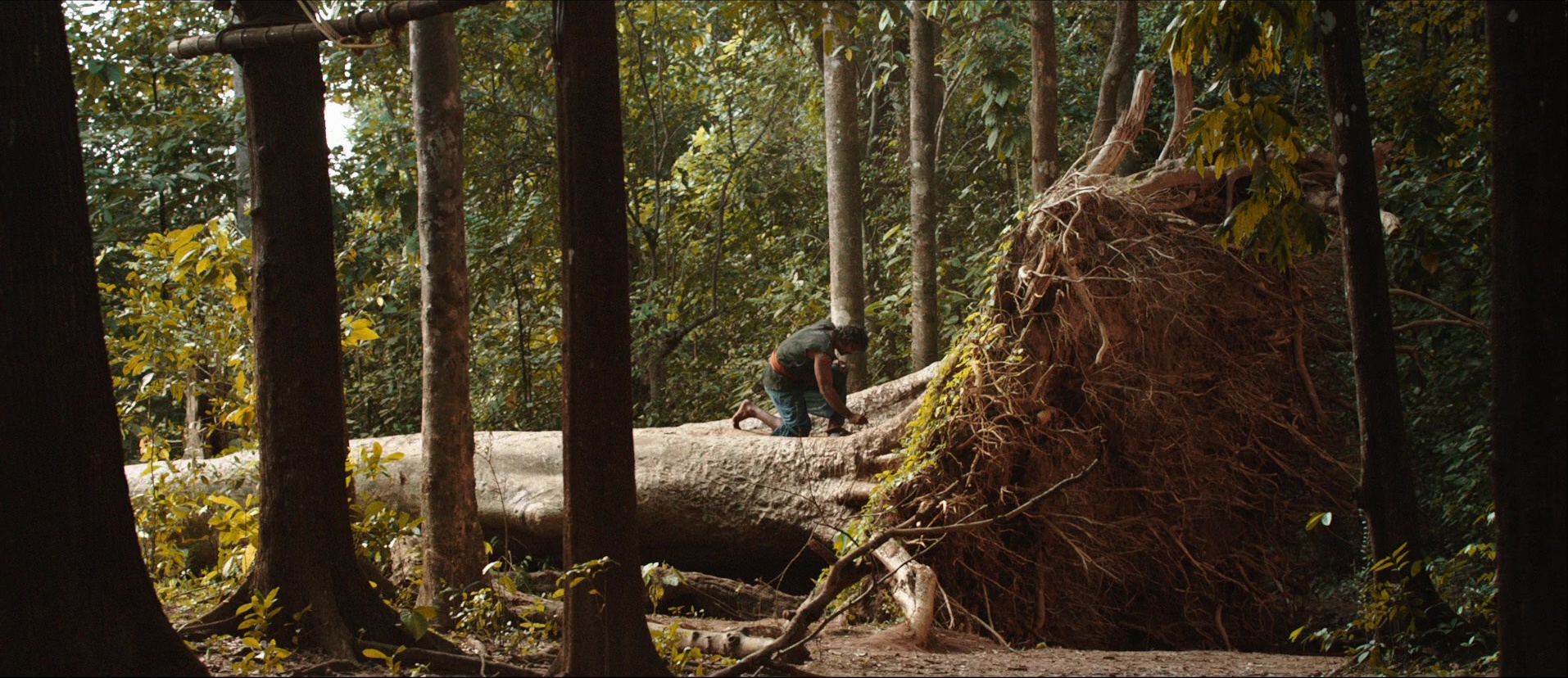 Bãhubali: The Beginning (2015), wide, 2.31:1 — film still