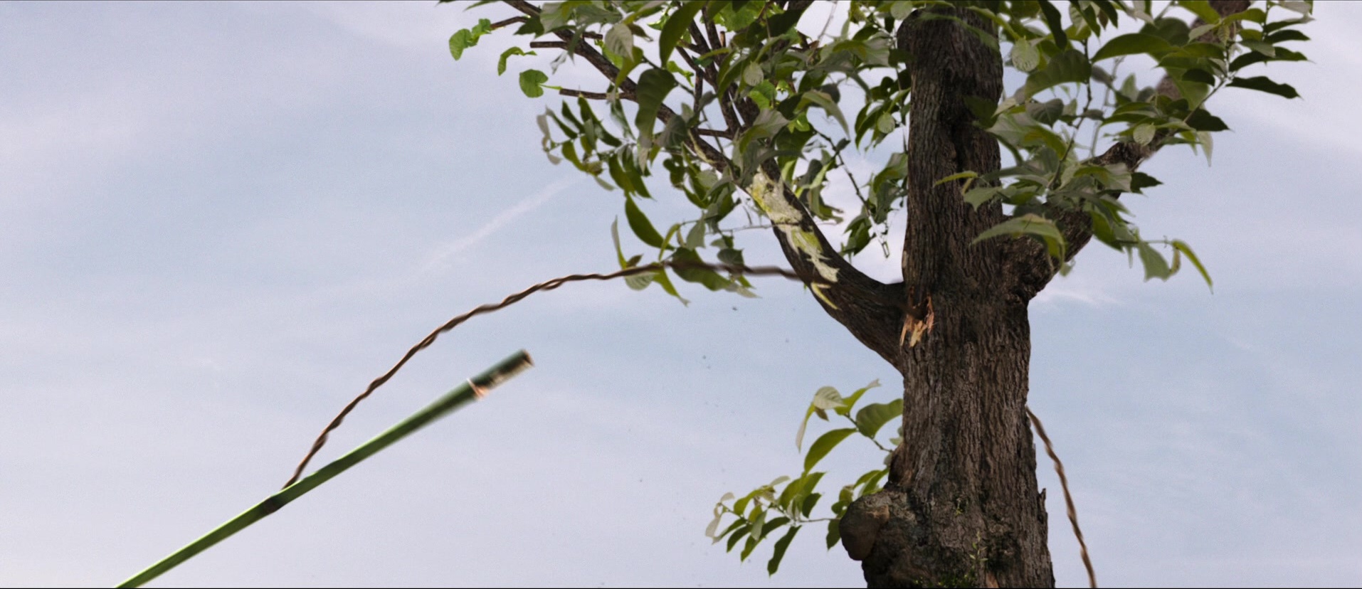 Bãhubali: The Beginning (2015), unknown, 2.31:1 — film still