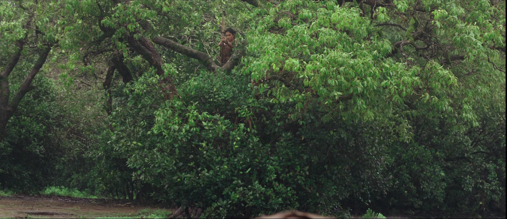 Bãhubali: The Beginning (2015), wide, 2.32:1 — film still