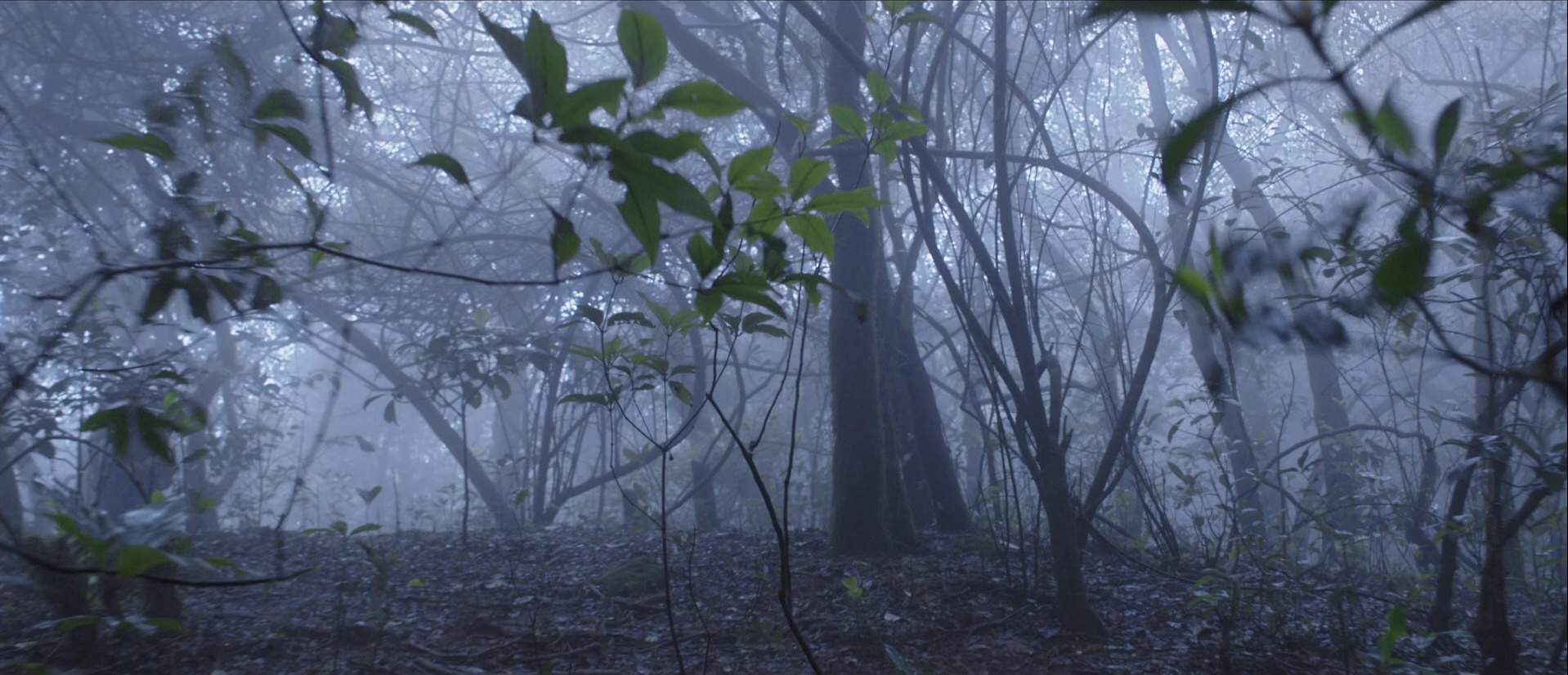Bãhubali: The Beginning (2015), wide, 2.32:1 — film still