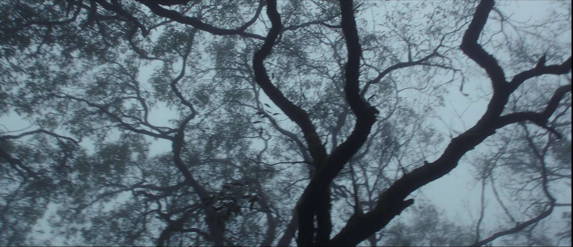 Bãhubali: The Beginning (2015), wide, 2.32:1 — film still