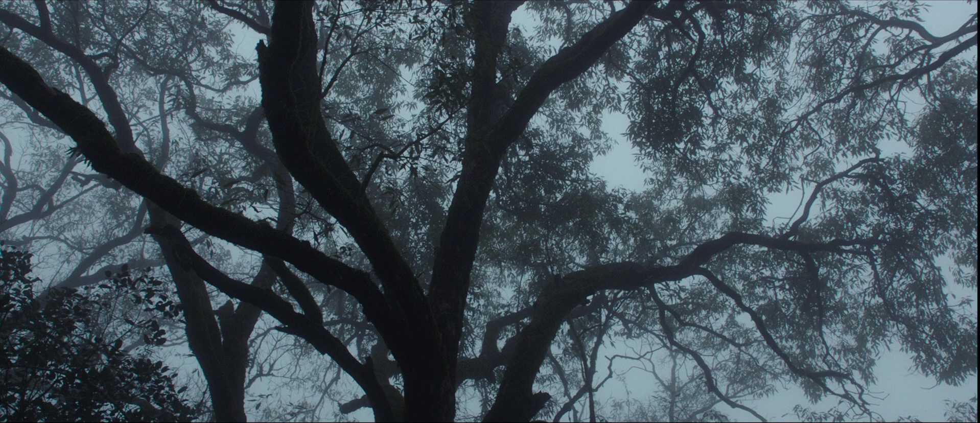 Bãhubali: The Beginning (2015), wide, 2.32:1 — film still