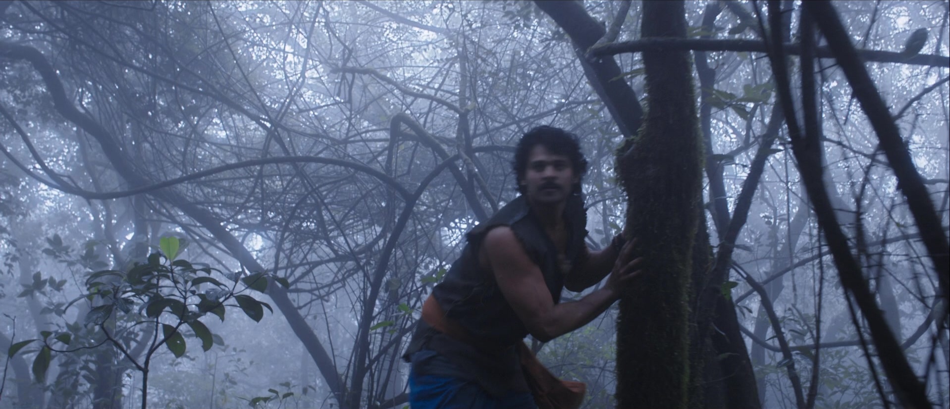 Bãhubali: The Beginning (2015), wide, 2.32:1 — film still