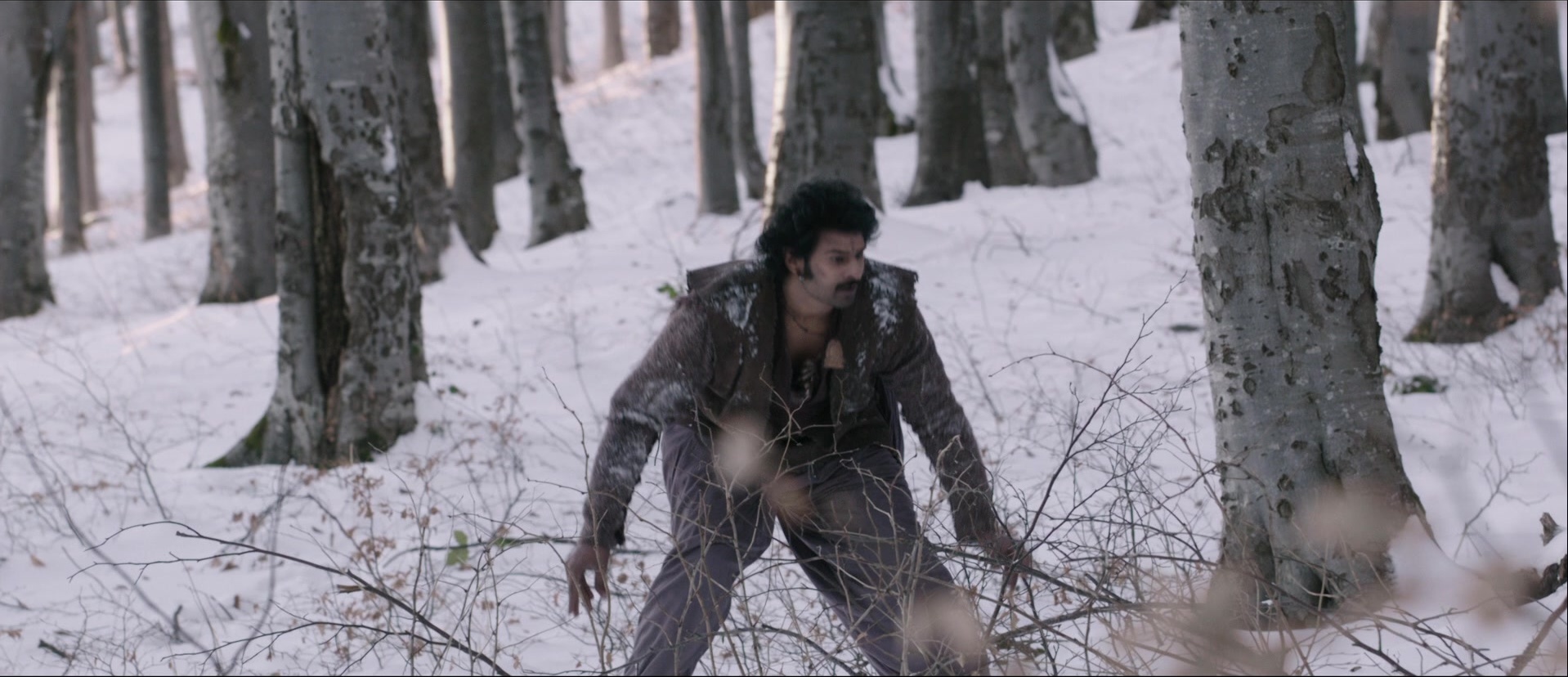 Bãhubali: The Beginning (2015), wide, 2.32:1 — film still